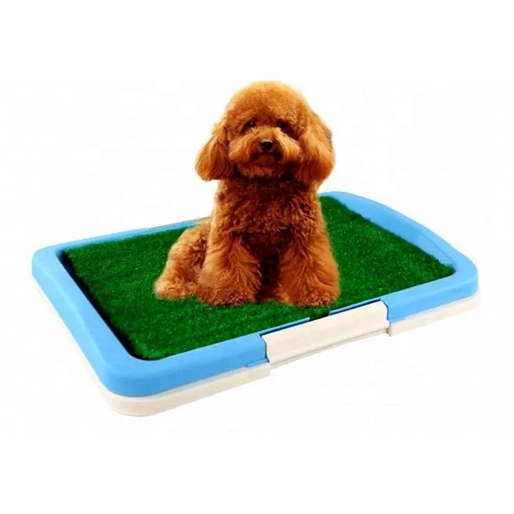 pet potty trainer