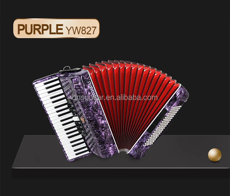 120 Bass Parrot Accordion - Yingwu Piano Keyboard Instrument