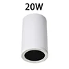 White 20W