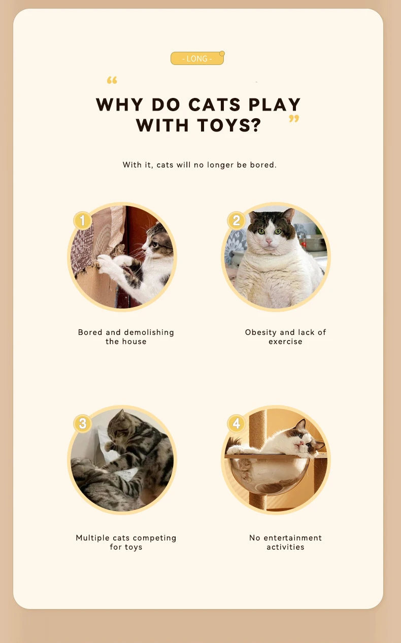 New Electric Amuse cat Ball cat Toys to Relieve Boredom Since Hi Ball Rolling Ball cat Interactive Toys Pet Supplies manufacture
