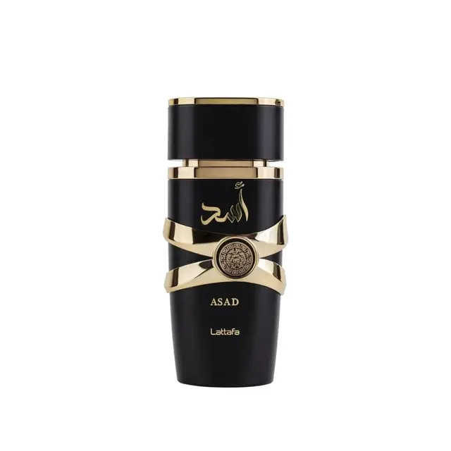 Perfumes Original Brand  Meister for Men Perfume Lasting Body Spray Fragrance Light Fragrance Fresh Cologne 50ml Perfume