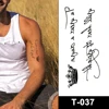 T-037