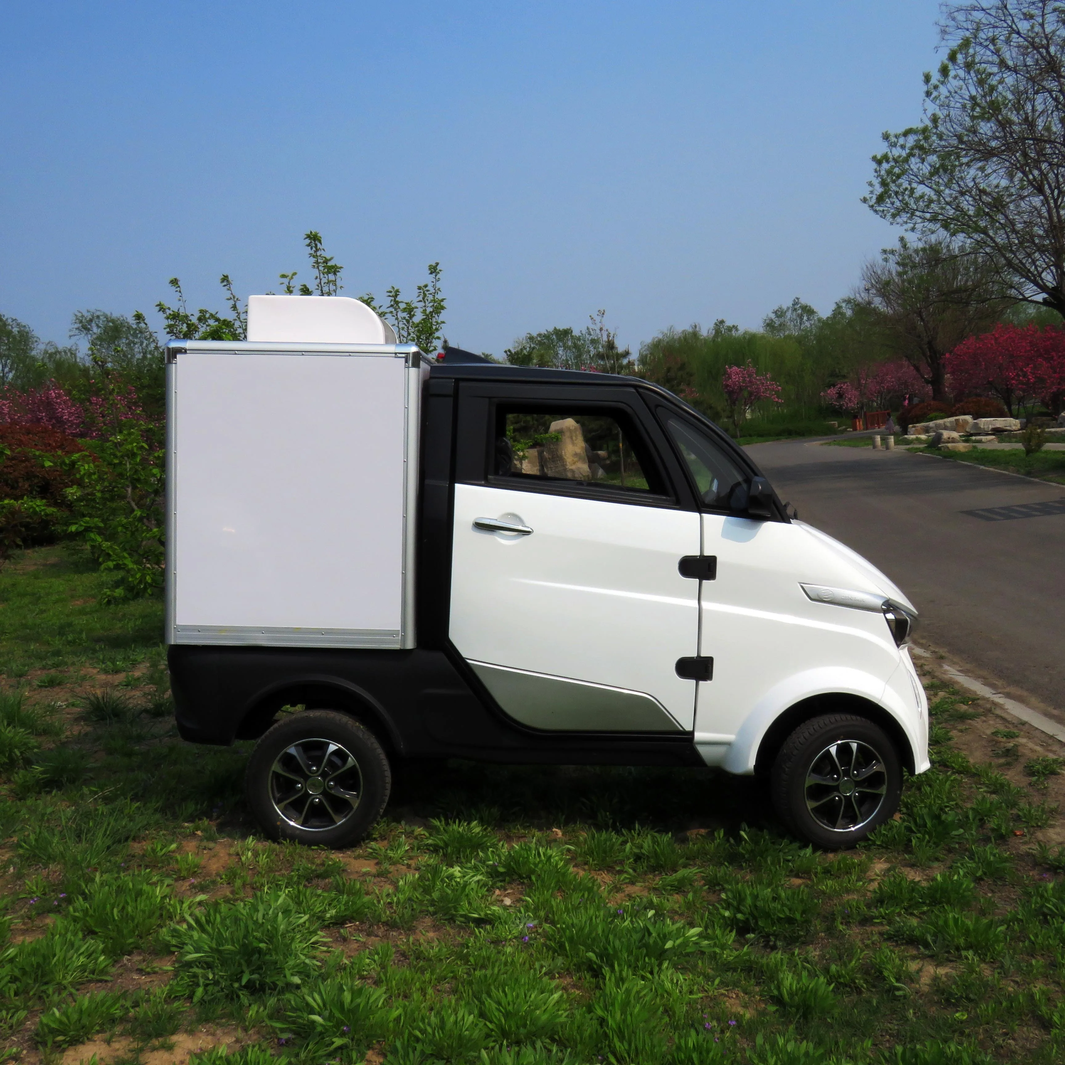 Доставка на вынос, миниатюрный электрический пищевой автофургон с EEC