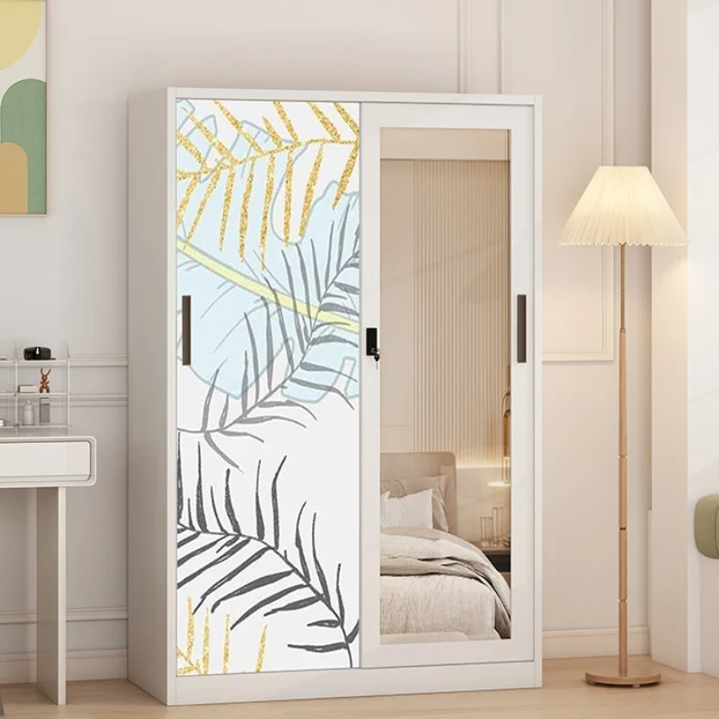 2 Door Mirror Customized Steel Printed Wardrobe with Mirror and Hanging Rail for Bedroom