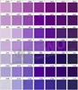 Colore Viola