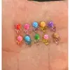 One 1.1cm manicured turtle (randomly selected)