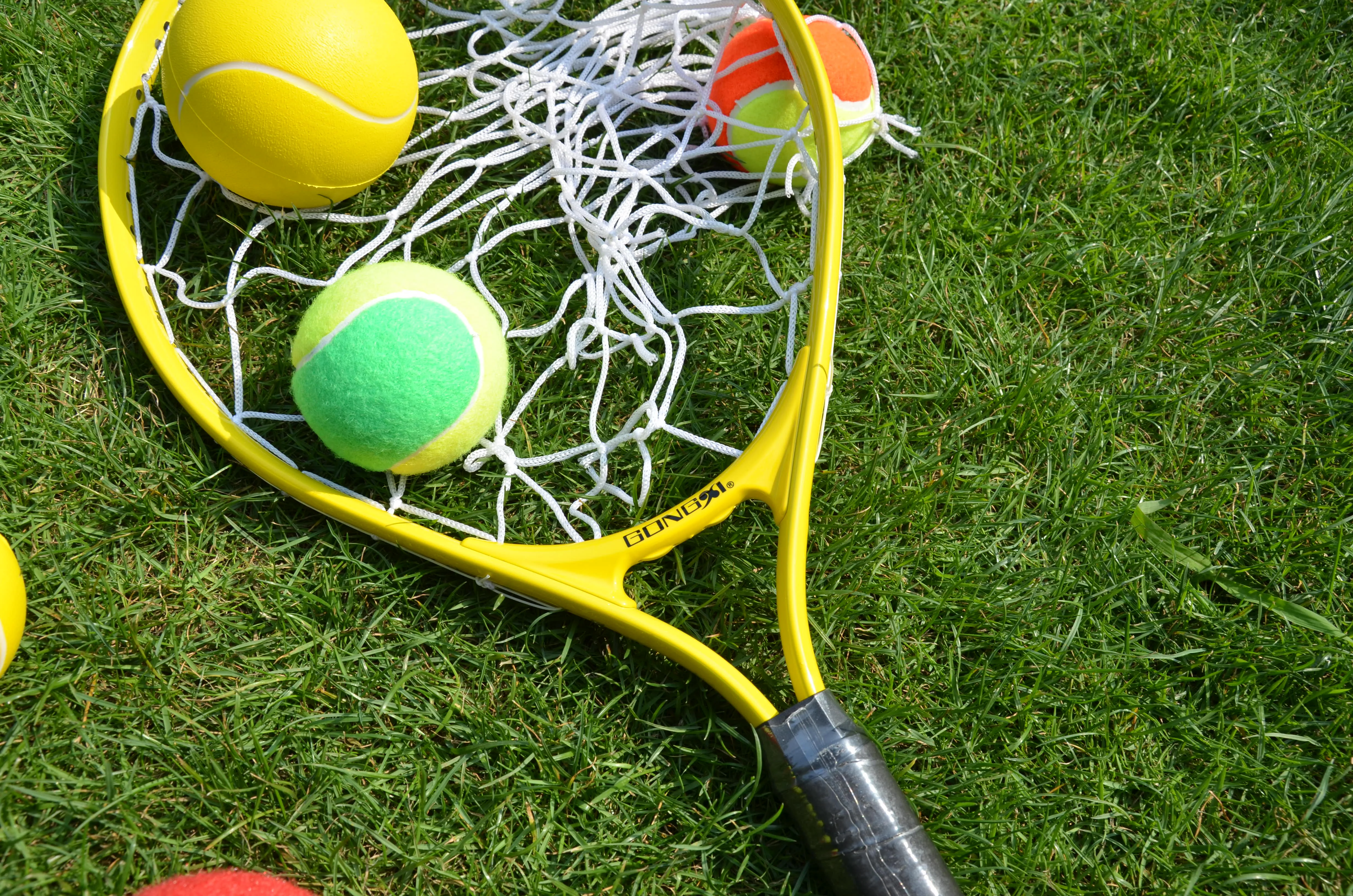 Source Offre Spéciale balle de tennis collecteur pour formation attraper  raquette avec cadre en aluminium et net et noir robinet de bâton on  m.alibaba.com