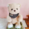 Brown bib bear