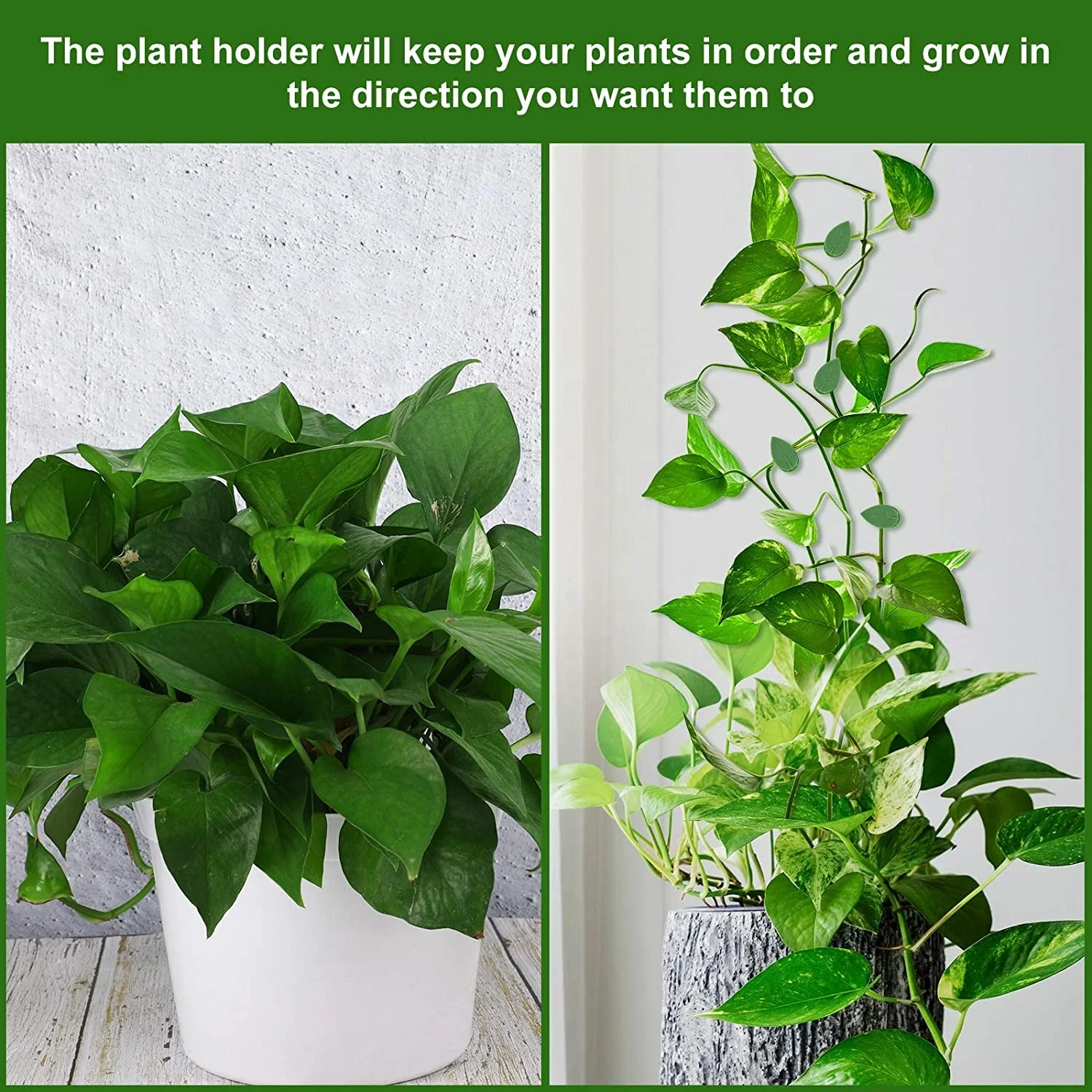 Plastic Pot Plant Support Clips Home Garden Plant Accessories