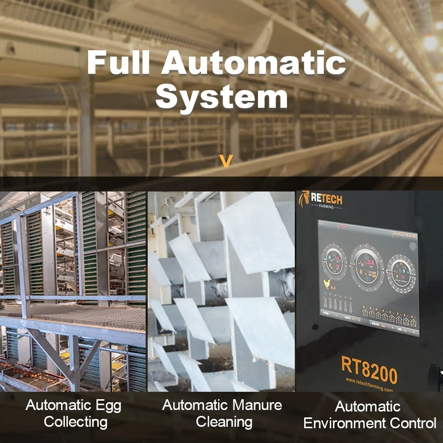Design Modern Environment Control Shed Poultry Farm System Commercial Chicken Farm Business Plan