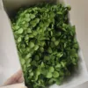 verde erba