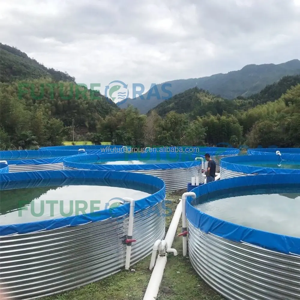大規模養殖池 ティラピア プラスチック製養魚池 水産養殖池| Alibaba.com