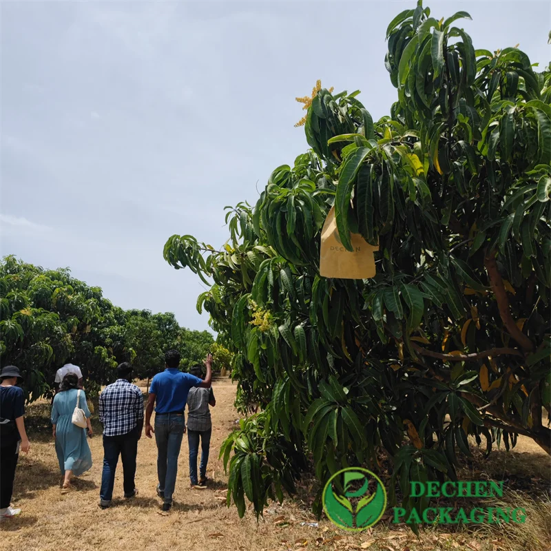Custom Fruit Protection Bags for Custom Mango Bagging - High-Performance &amp; Customizable