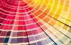 Customized Color