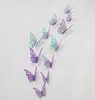 Viola03