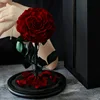 Lifetime love 20 * 30cm with gift box included