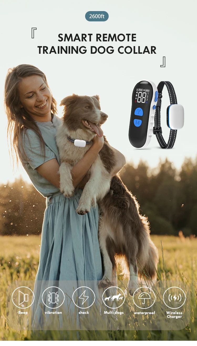 New Arrival 2600 Feets Wireless Charging Anti Bark Dog Shock Collar E