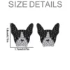 Boston Terrier