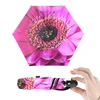 transparent