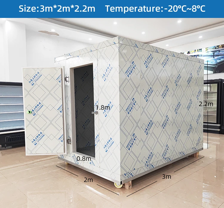 Freezer, 10ftx10ftx8ft, 110v~480v, R-404a - detail 2