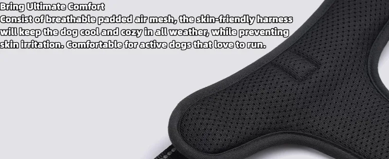 Hot Selling Nylon Outdoor Dog Harness Leash Suitable for Small Medium Large Dogs Pet Products supplier
