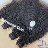 1 pz fascio riccio birmano