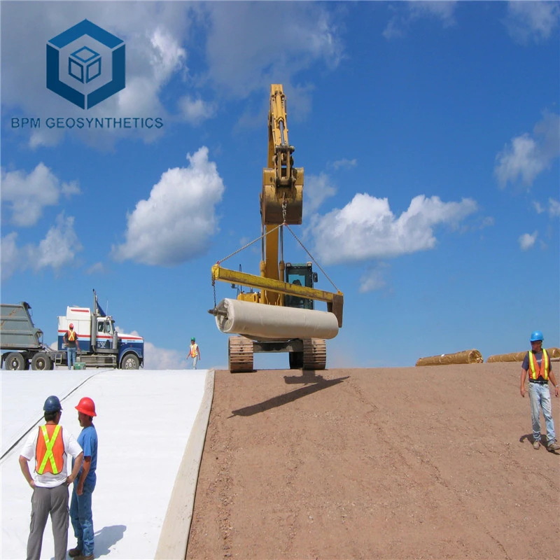 Soil Stabilization Geotextile Fabric Polyester Filament Continuous Geotextile Filter Cloth 200g 250g Geo Fabric for Driveway