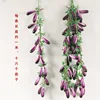 1 meter long, 16 eggplants with leaves
