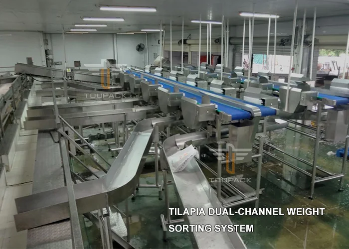 Industry Automatic Weight Sorting Machine Fish Weight Sorting Shrimp Weight Grader Seafood Fruits Vegetables Grading Machine