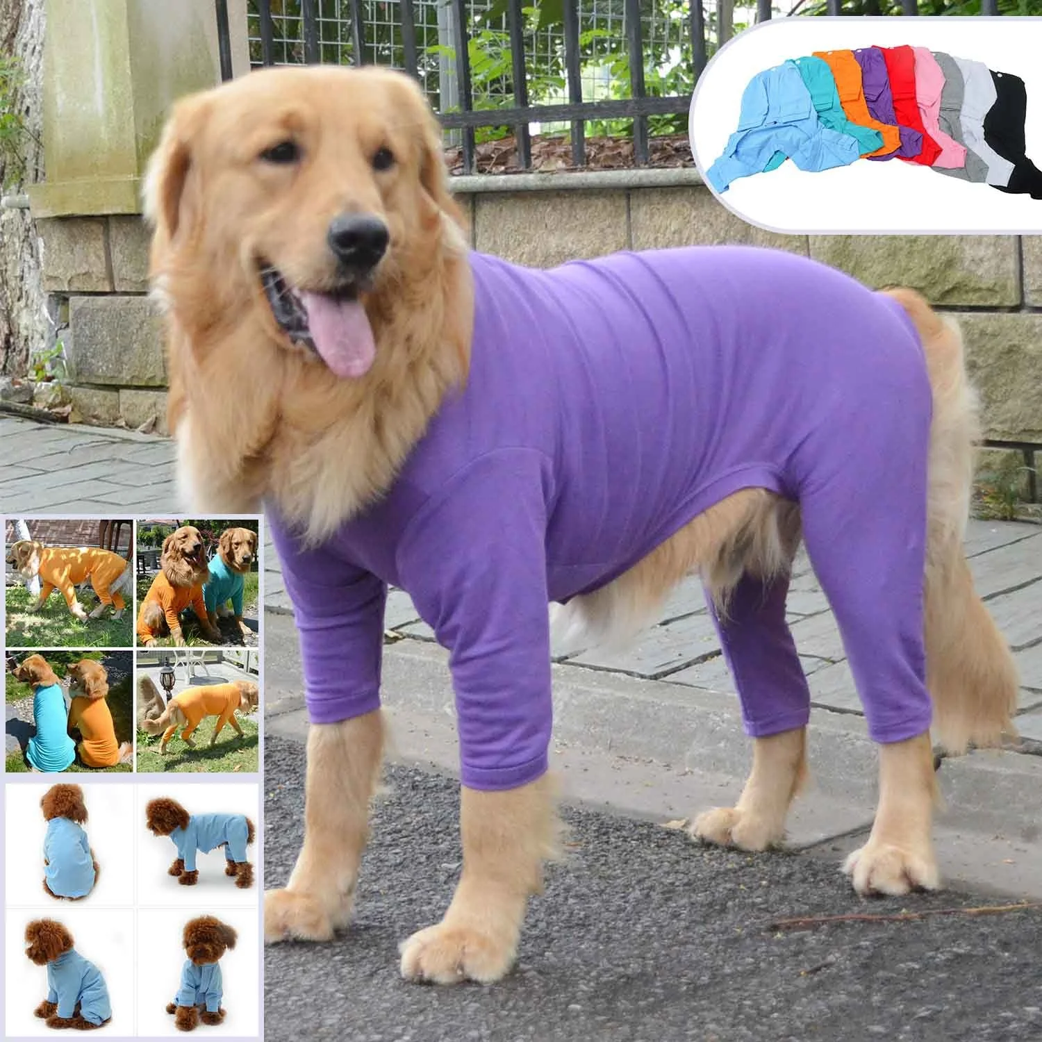 dog clothes manufacturers