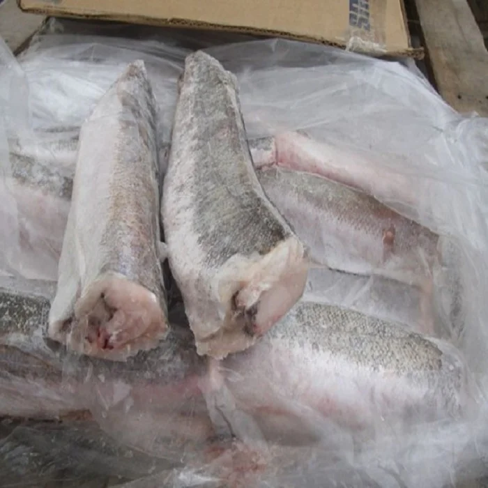 Merluza Hgt Frozen Hake Fish 500 700 Buy Hake Fish Whole Frozen Hake Hake Hgt Hake Fillet Argentina Hake Fish Price Frozen Hake Fish Hake Fish Frozen Frozen Hake Fish Hake Fillets Hake Fish