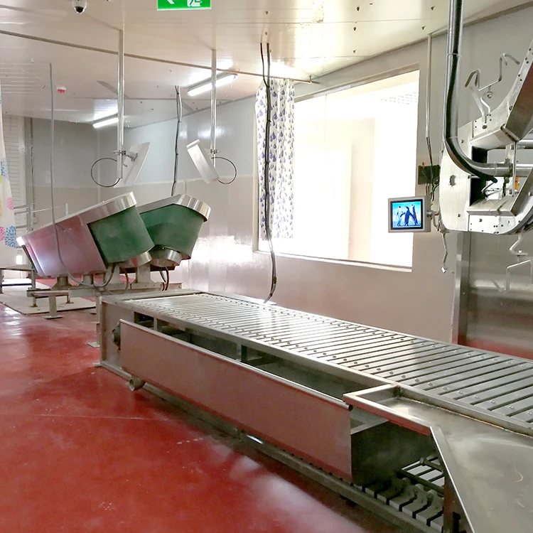 Sheep slaughterhouse plants 100 goat meat slaughterhouses per day
