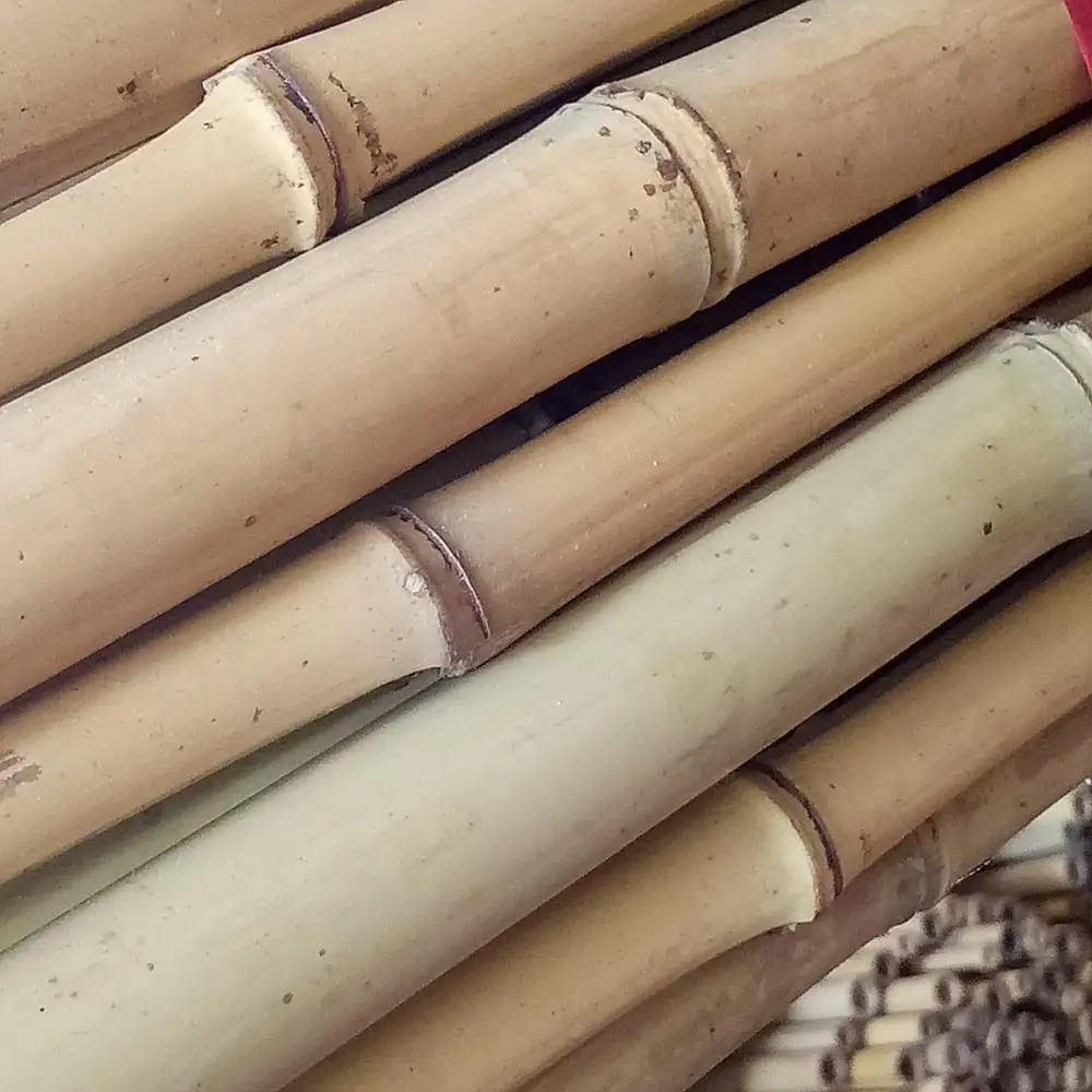 Оптовая продажа бамбуковые трости/бамбуковый столб для садоводства поддержка сельского хозяйства по лучшей