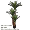 160cm Three-stemmed Cycas