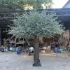 350CM