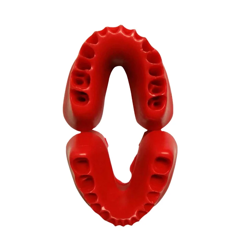 
 Восковые формы, клинические образовательные модели, зубы  