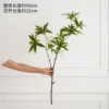 2-forked water stone banyan