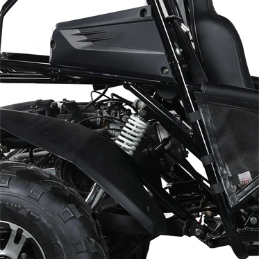 Gasoline Go Kart Engine 150Cc 200Cc 250Cc 300Cc for Adults Off Road Beach Dune Buggy Cross Go Karts
