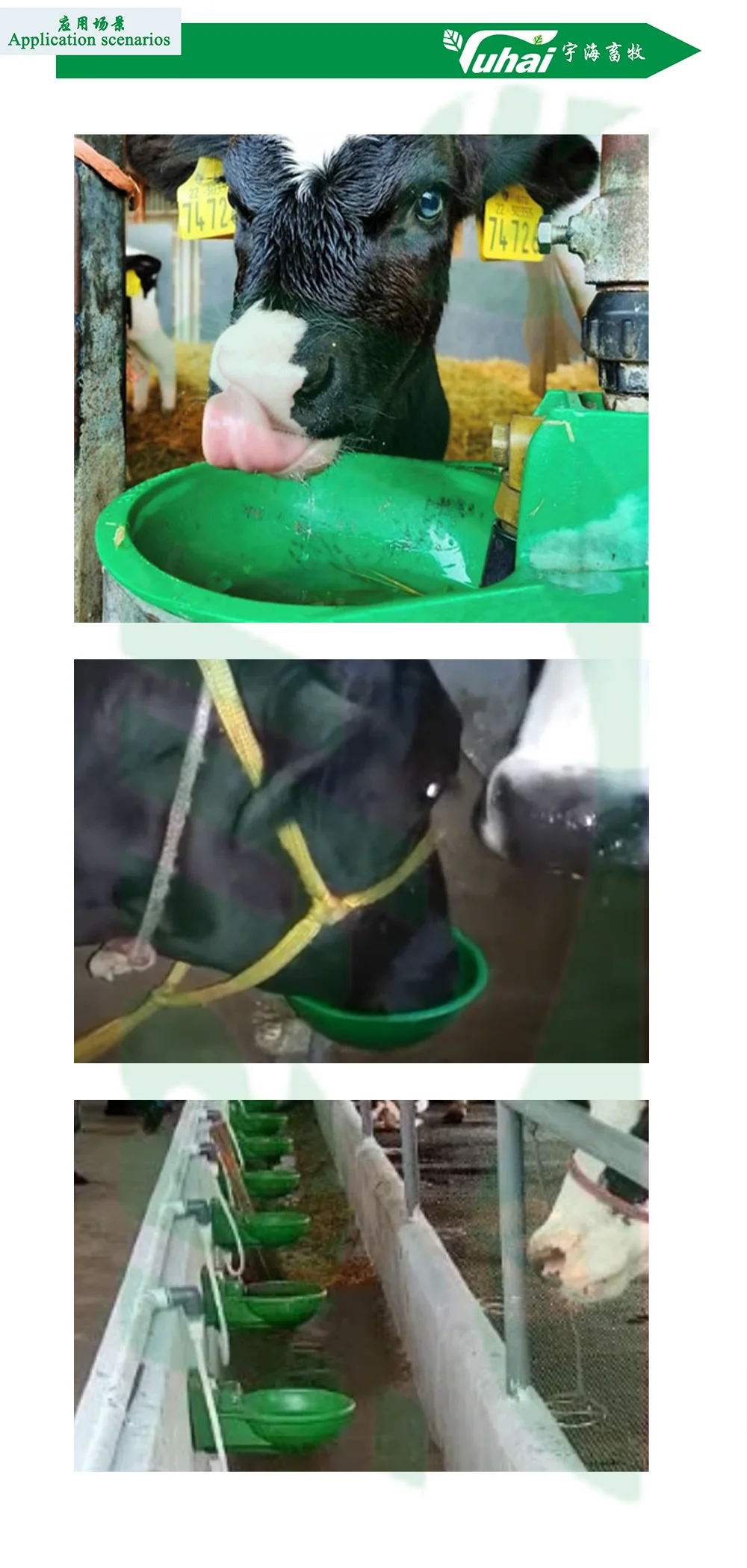  drinking bottle animal drinking equipmentwater dispenser for cows-2