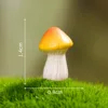 No 10-dream mushroom