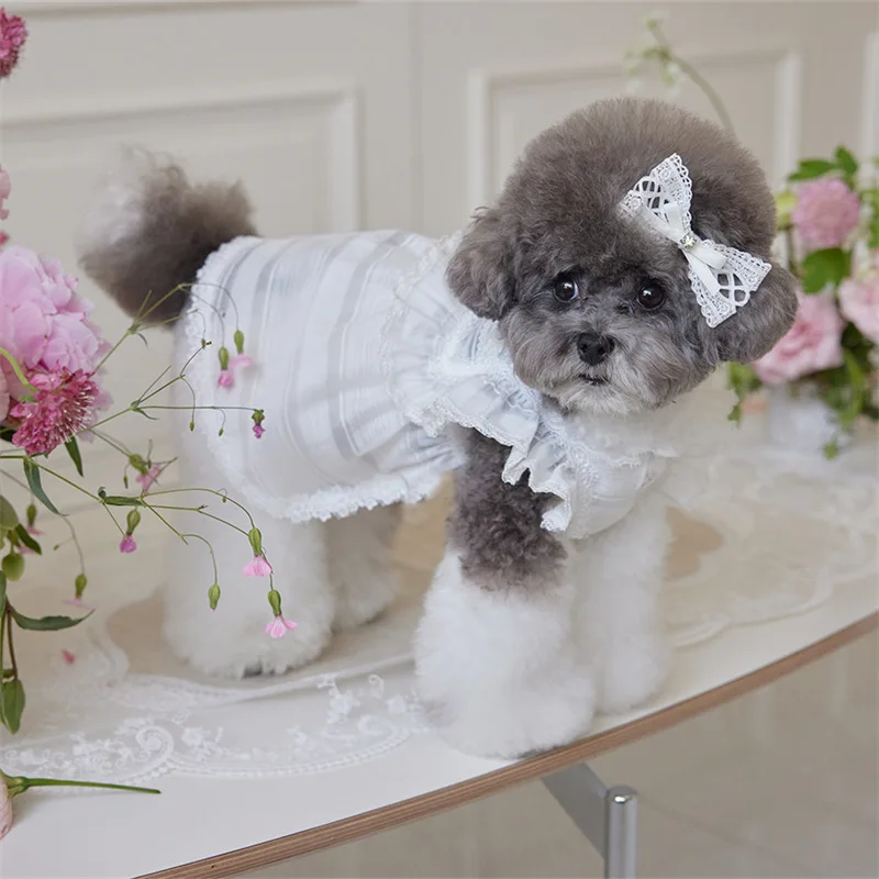 Kangdarpet Summer Dog Cute Dress Pet Skirt Dog Clothes Bow Dog Princess Dress with Lace Decoration for Puppy Kangdarpet Summer Dog Cute Dress Pet Skirt Dog Clothes Bow Dog Princess Dress with Lace Decoration for Puppy