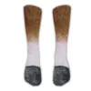 Horse hoof