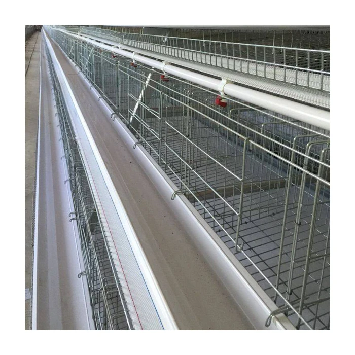 automatic rearing layer equipment layer chicken cages for sale