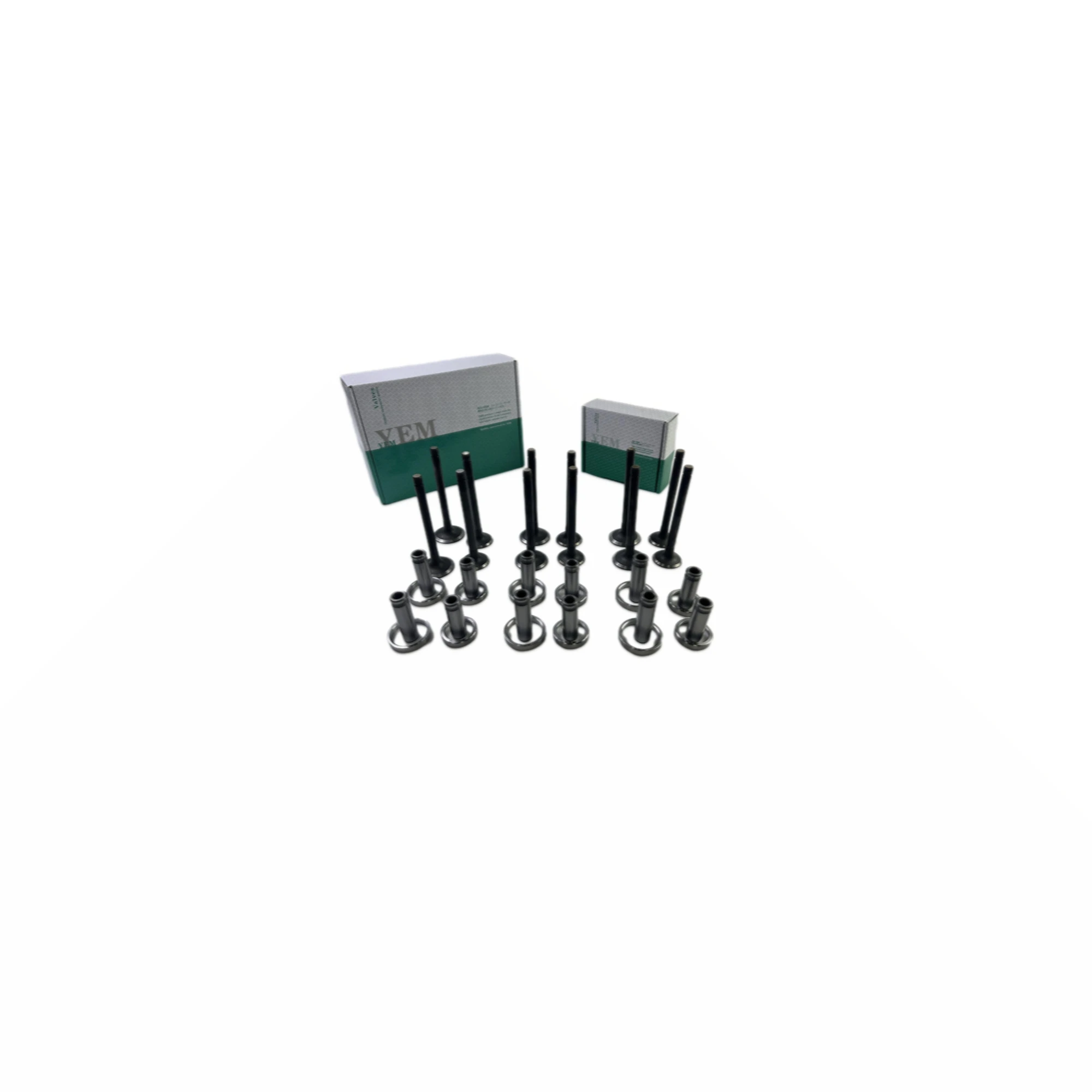 D2848 Valve Guide Seat Set for Doosan / DEVELON Engine Parts With Warranty