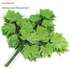 feuille d'érable verte