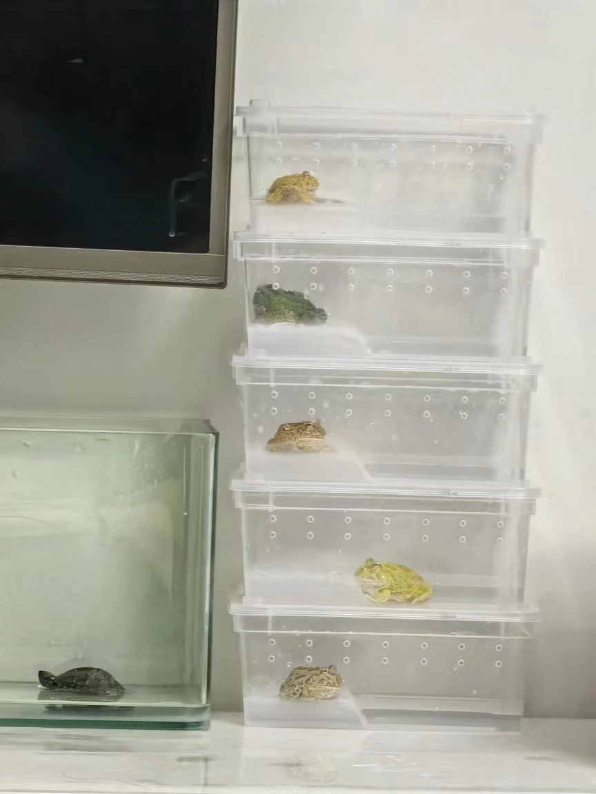 JSP Belüftungsgitter Rund, 5,1 Cm – 6 Stück In Weiß, Für Reptilienkäfige, Vitrinen & Mehr