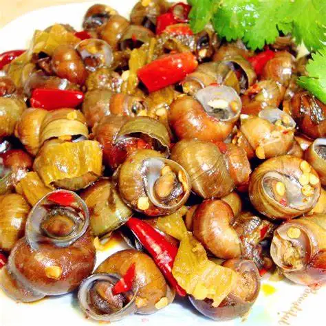Snail Tail Removing Cutting Machine Snail Shell Washing Processing Machine