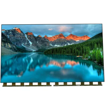 LG 55 inch TV screen replacement 4K UHD high brightness LCD display panel Open Cell 3840x2160 LC550EQC-SNA1