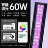 148cm-60w