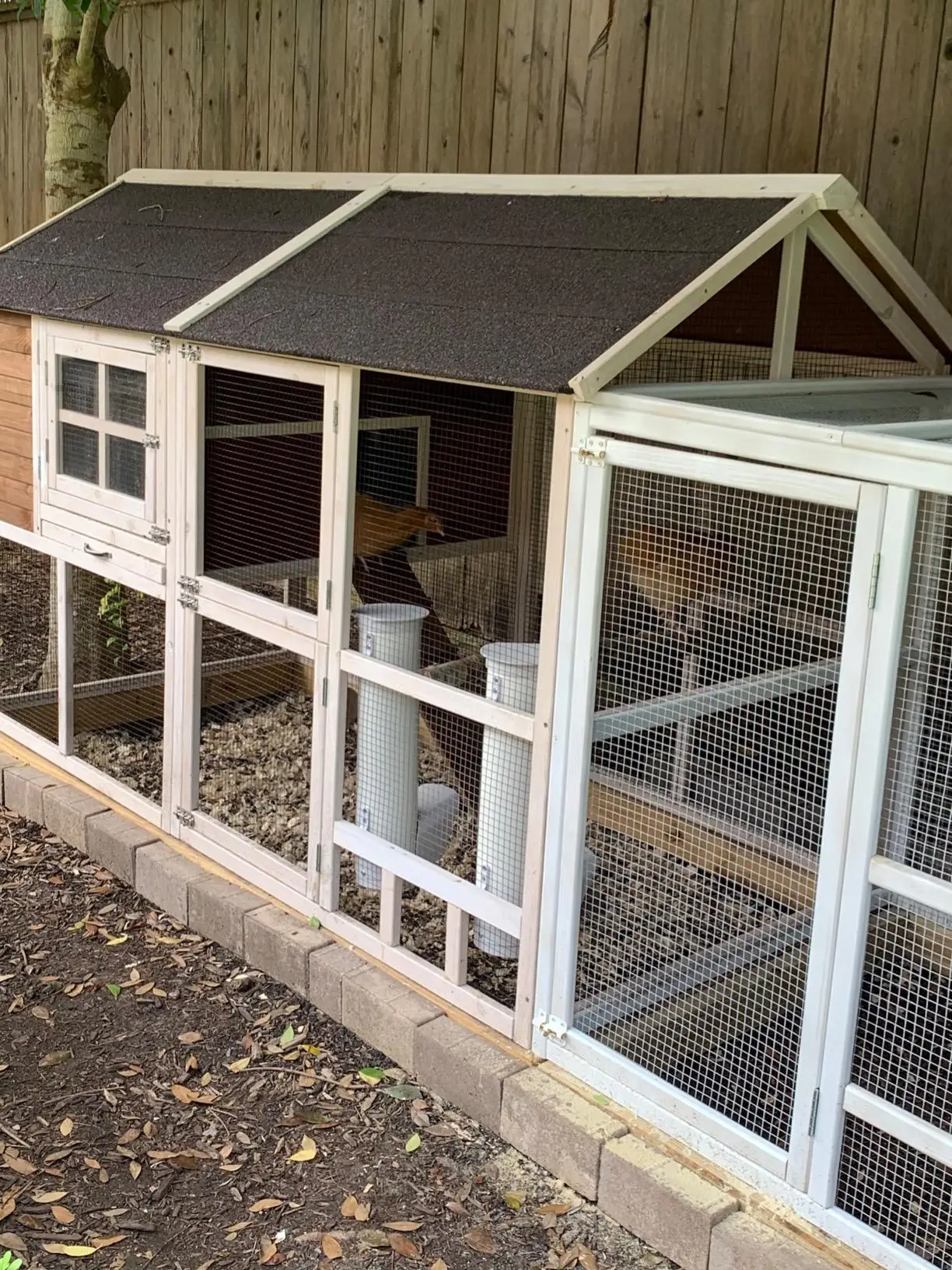 Cylindrical Chicken Feeder With Rain Cover For Poultry Chicken Birds ...